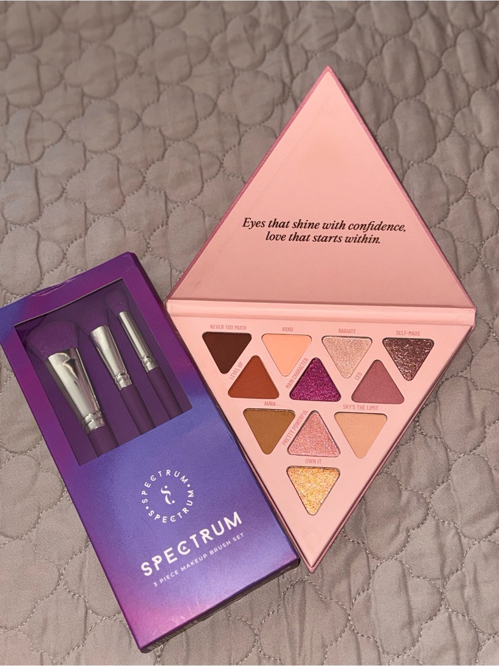 Spectrum Makeup Brush Set + LYS Beauty Eyeshadow palette